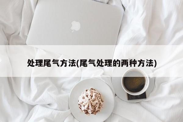 处理尾气方法(尾气处理的两种方法)