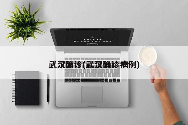 武汉确诊(武汉确诊病例)
