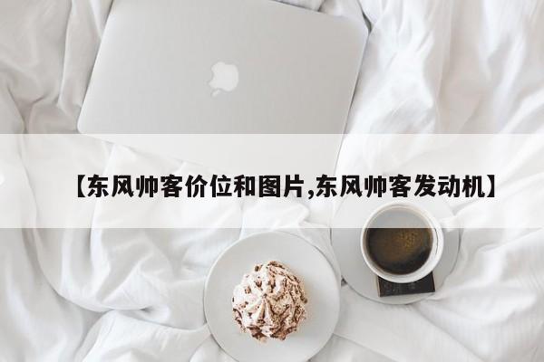 【东风帅客价位和图片,东风帅客发动机】