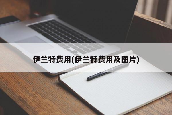 伊兰特费用(伊兰特费用及图片)